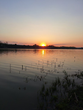 REZULTATI NAKON DRUGOG KOLA TAKMIČENJA OD 14.06.2026.